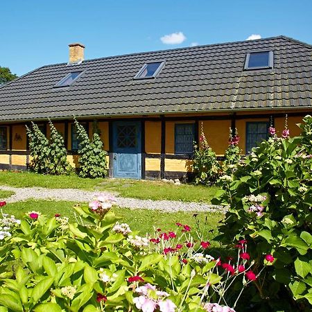Mollegade 1 Holiday House Nordborg Exterior foto