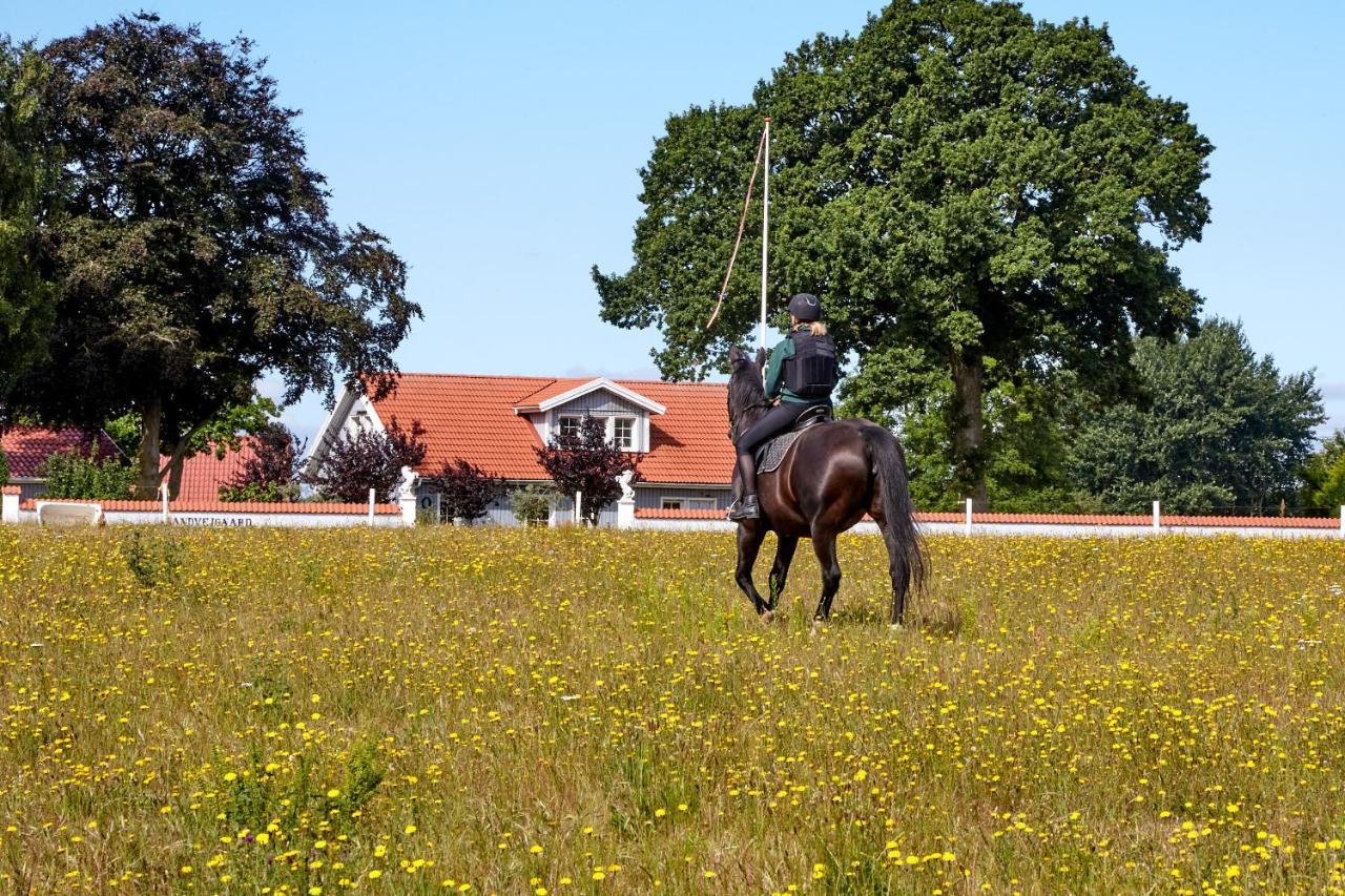 Mollegade 1 Holiday House Nordborg Exterior foto